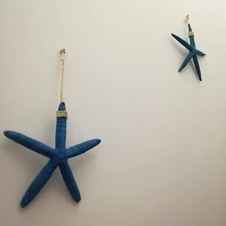 Apartment Alley 8 Scilla