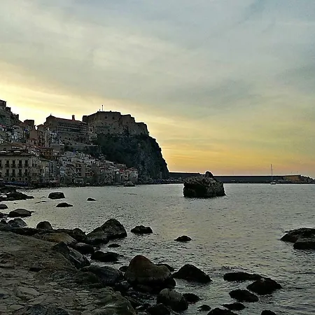 Alley 8 * Scilla
