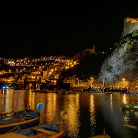 Alley 8 דירה שילה